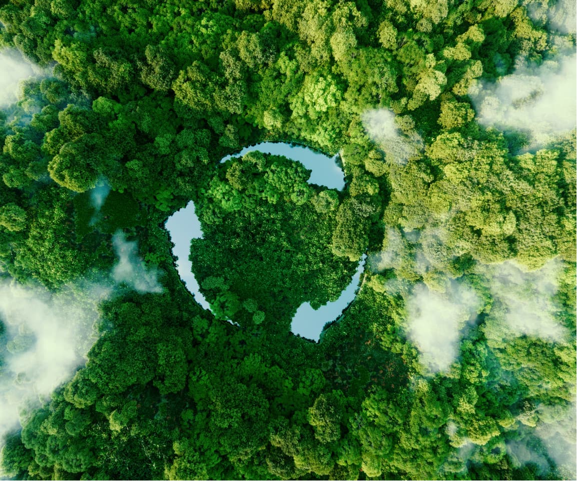 Section Image
